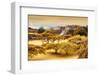 ¡Viva Mexico! Collection - Pyramid of Monte Alban with Fall Colors-Philippe Hugonnard-Framed Photographic Print