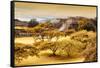 ¡Viva Mexico! Collection - Pyramid of Monte Alban with Fall Colors-Philippe Hugonnard-Framed Stretched Canvas