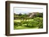 ¡Viva Mexico! Collection - Pyramid of Monte Alban-Philippe Hugonnard-Framed Photographic Print