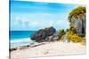 ¡Viva Mexico! Collection - Riviera Maya in Tulum II-Philippe Hugonnard-Stretched Canvas