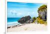 ¡Viva Mexico! Collection - Riviera Maya in Tulum II-Philippe Hugonnard-Framed Photographic Print