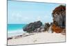 ¡Viva Mexico! Collection - Riviera Maya in Tulum with Fall Colors-Philippe Hugonnard-Mounted Photographic Print