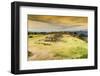 ¡Viva Mexico! Collection - Ruins of Monte Alban at Sunset II-Philippe Hugonnard-Framed Photographic Print
