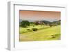 ¡Viva Mexico! Collection - Ruins of Monte Alban-Philippe Hugonnard-Framed Photographic Print