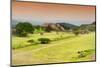 ¡Viva Mexico! Collection - Ruins of Monte Alban-Philippe Hugonnard-Mounted Photographic Print