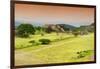 ¡Viva Mexico! Collection - Ruins of Monte Alban-Philippe Hugonnard-Framed Photographic Print