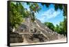 ¡Viva Mexico! Collection - Ruins of the ancient Mayan city of Calakmul III-Philippe Hugonnard-Framed Stretched Canvas