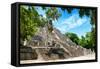 ¡Viva Mexico! Collection - Ruins of the ancient Mayan city of Calakmul III-Philippe Hugonnard-Framed Stretched Canvas