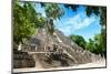 ¡Viva Mexico! Collection - Ruins of the ancient Mayan city of Calakmul III-Philippe Hugonnard-Mounted Photographic Print