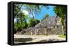 ¡Viva Mexico! Collection - Ruins of the ancient Mayan city of Calakmul-Philippe Hugonnard-Framed Stretched Canvas