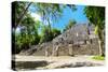 ¡Viva Mexico! Collection - Ruins of the ancient Mayan city of Calakmul-Philippe Hugonnard-Stretched Canvas