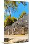 ¡Viva Mexico! Collection - Ruins of the ancient Mayan city with Fall Colors of Calakmul II-Philippe Hugonnard-Mounted Photographic Print