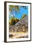¡Viva Mexico! Collection - Ruins of the ancient Mayan city with Fall Colors of Calakmul II-Philippe Hugonnard-Framed Photographic Print