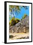 ¡Viva Mexico! Collection - Ruins of the ancient Mayan city with Fall Colors of Calakmul II-Philippe Hugonnard-Framed Photographic Print