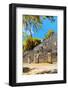 ¡Viva Mexico! Collection - Ruins of the ancient Mayan city with Fall Colors of Calakmul II-Philippe Hugonnard-Framed Photographic Print
