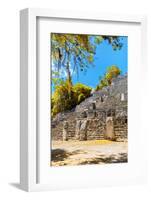 ¡Viva Mexico! Collection - Ruins of the ancient Mayan city with Fall Colors of Calakmul II-Philippe Hugonnard-Framed Photographic Print