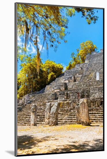 ¡Viva Mexico! Collection - Ruins of the ancient Mayan city with Fall Colors of Calakmul II-Philippe Hugonnard-Mounted Photographic Print