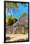 ¡Viva Mexico! Collection - Ruins of the ancient Mayan city with Fall Colors of Calakmul II-Philippe Hugonnard-Framed Photographic Print