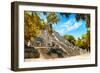 ¡Viva Mexico! Collection - Ruins of the ancient Mayan city with Fall Colors of Calakmul III-Philippe Hugonnard-Framed Photographic Print