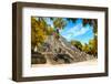 ¡Viva Mexico! Collection - Ruins of the ancient Mayan city with Fall Colors of Calakmul III-Philippe Hugonnard-Framed Photographic Print