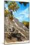 ¡Viva Mexico! Collection - Ruins of the ancient Mayan city with Fall Colors of Calakmul IV-Philippe Hugonnard-Mounted Photographic Print