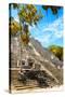 ¡Viva Mexico! Collection - Ruins of the ancient Mayan city with Fall Colors of Calakmul IV-Philippe Hugonnard-Stretched Canvas