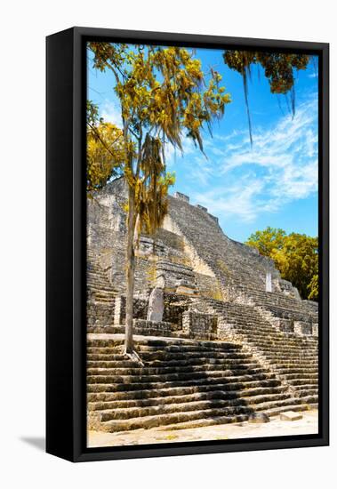 ¡Viva Mexico! Collection - Ruins of the ancient Mayan city with Fall Colors of Calakmul IV-Philippe Hugonnard-Framed Stretched Canvas
