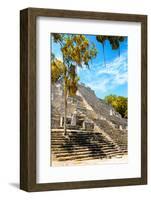 ¡Viva Mexico! Collection - Ruins of the ancient Mayan city with Fall Colors of Calakmul IV-Philippe Hugonnard-Framed Photographic Print