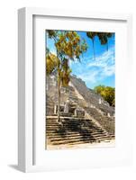 ¡Viva Mexico! Collection - Ruins of the ancient Mayan city with Fall Colors of Calakmul IV-Philippe Hugonnard-Framed Photographic Print