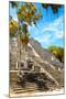 ¡Viva Mexico! Collection - Ruins of the ancient Mayan city with Fall Colors of Calakmul IV-Philippe Hugonnard-Mounted Photographic Print