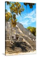 ¡Viva Mexico! Collection - Ruins of the ancient Mayan city with Fall Colors of Calakmul IV-Philippe Hugonnard-Stretched Canvas
