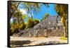 ¡Viva Mexico! Collection - Ruins of the ancient Mayan city with Fall Colors of Calakmul-Philippe Hugonnard-Framed Stretched Canvas