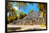 ¡Viva Mexico! Collection - Ruins of the ancient Mayan city with Fall Colors of Calakmul-Philippe Hugonnard-Framed Photographic Print