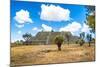 ¡Viva Mexico! Collection - Ruins of the City of Cantona-Philippe Hugonnard-Mounted Photographic Print