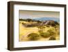 ¡Viva Mexico! Collection - Ruins of the Zapotec civilization in Oaxaca with Fall Colors-Philippe Hugonnard-Framed Photographic Print