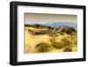 ¡Viva Mexico! Collection - Ruins of the Zapotec civilization in Oaxaca with Fall Colors-Philippe Hugonnard-Framed Photographic Print