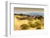 ¡Viva Mexico! Collection - Ruins of the Zapotec civilization in Oaxaca with Fall Colors-Philippe Hugonnard-Framed Photographic Print