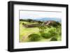 ?Viva Mexico! Collection - Ruins of the Zapotec civilization in Oaxaca-Philippe Hugonnard-Framed Photographic Print