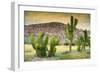 ¡Viva Mexico! Collection - Saguaro Cactus and Mexican Ruins at Sunset-Philippe Hugonnard-Framed Photographic Print