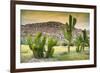 ¡Viva Mexico! Collection - Saguaro Cactus and Mexican Ruins at Sunset-Philippe Hugonnard-Framed Photographic Print