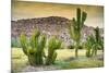 ¡Viva Mexico! Collection - Saguaro Cactus and Mexican Ruins at Sunset-Philippe Hugonnard-Mounted Photographic Print