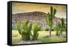 ¡Viva Mexico! Collection - Saguaro Cactus and Mexican Ruins at Sunset-Philippe Hugonnard-Framed Stretched Canvas