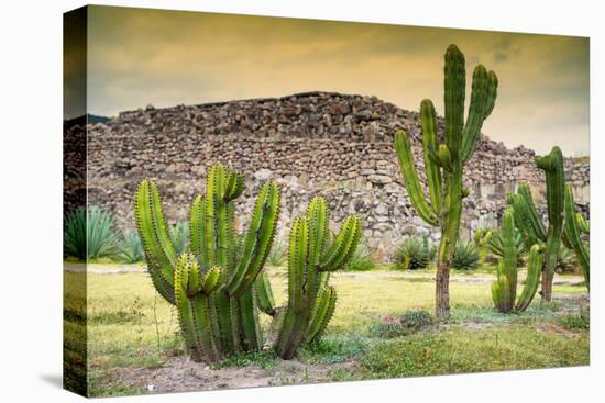 ¡Viva Mexico! Collection - Saguaro Cactus and Mexican Ruins at Sunset-Philippe Hugonnard-Stretched Canvas