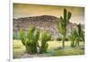 ¡Viva Mexico! Collection - Saguaro Cactus and Mexican Ruins at Sunset-Philippe Hugonnard-Framed Photographic Print