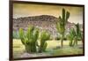 ¡Viva Mexico! Collection - Saguaro Cactus and Mexican Ruins at Sunset-Philippe Hugonnard-Framed Photographic Print