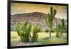 ¡Viva Mexico! Collection - Saguaro Cactus and Mexican Ruins at Sunset-Philippe Hugonnard-Framed Photographic Print