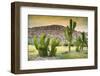 ¡Viva Mexico! Collection - Saguaro Cactus and Mexican Ruins at Sunset-Philippe Hugonnard-Framed Photographic Print