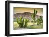 ¡Viva Mexico! Collection - Saguaro Cactus and Mexican Ruins at Sunset-Philippe Hugonnard-Framed Photographic Print