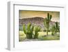 ¡Viva Mexico! Collection - Saguaro Cactus and Mexican Ruins at Sunset-Philippe Hugonnard-Framed Photographic Print