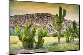 ¡Viva Mexico! Collection - Saguaro Cactus and Mexican Ruins at Sunset-Philippe Hugonnard-Mounted Photographic Print